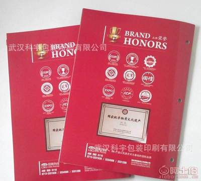 【廠家免費專業設計印刷企業宣傳冊、產品畫冊、說明書